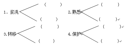 ˽̰Сѧ꼶ѧĩԾ